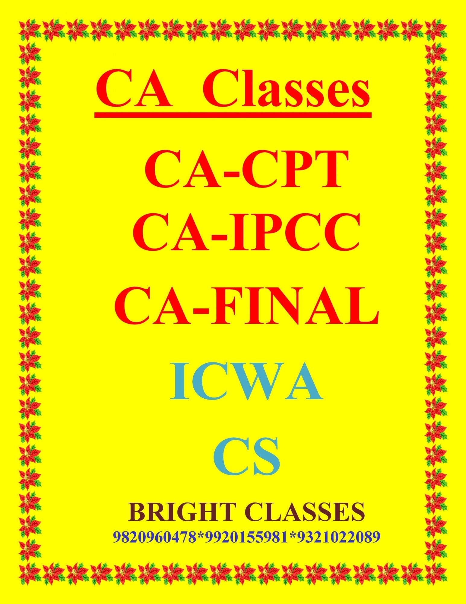 Bright Classes Bright Classes photo 3